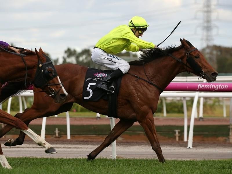 Sin To Win hangs on in the Andrew Ramsden Stakes.