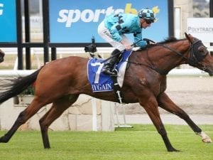 Bel Sonic on song for return at Caulfield