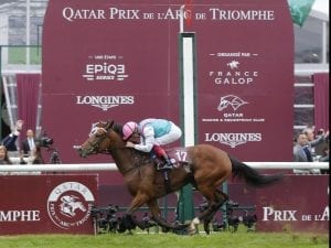 Enable's return delayed by injury