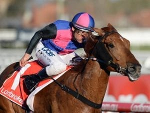 Vega shows his Magic in Werribee jump-out