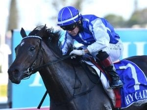 Plucky Girl chasing stakes win at Doomben