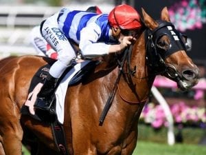 Redkirk Warrior spot-on for Royal Ascot