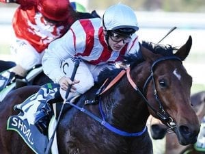 Shoals to miss Ascot in favour of Everest