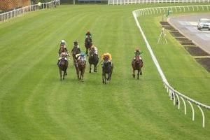 Group One Orr Stakes attracts 22 entries