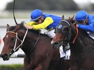 Impending wins the G1 Kingsford Smith Cup