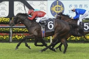 Scone Guineas glory for in-form Moss Trip
