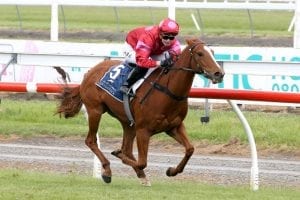 Prom Queen on song for Doomben