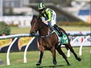 Avdulla puts mounts on course for Brisbane
