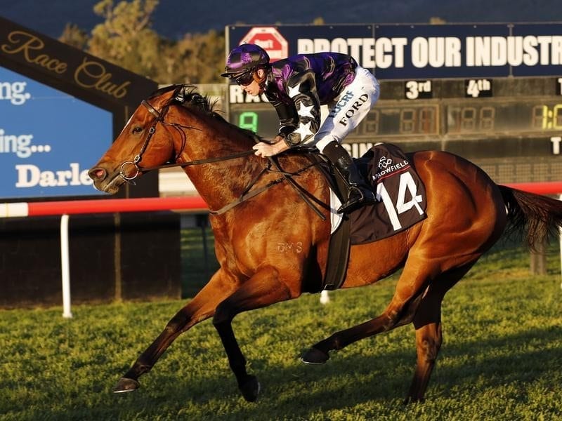 To Excess wins at Scone.