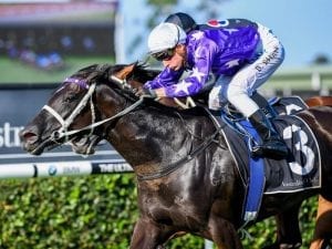Noire poised for comeback at Rosehill