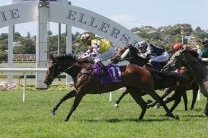 Sacred Master Pike's group winner on Cup trail again