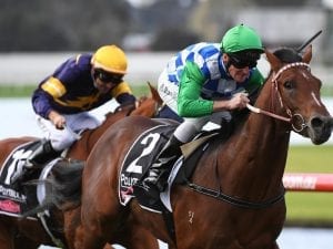 Weir import measures up to city standard