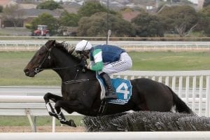 The Dominator delivers in Warrnambool classic