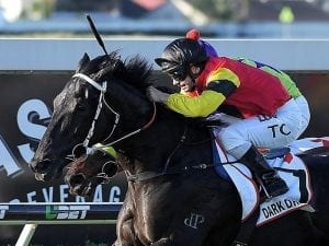 Parker gets Group One dream in Qld Derby