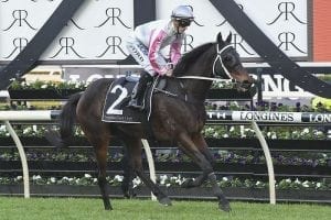 Destiny's Kiss entered for Stayers Cup