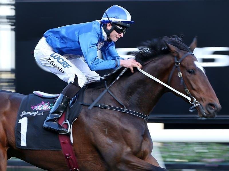 Jockey Zac Spain rides Masculino to victory.