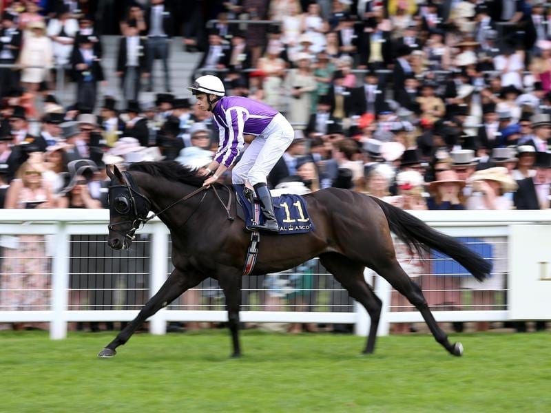 Merchant Navy wins Diamond Jubilee Horse Betting