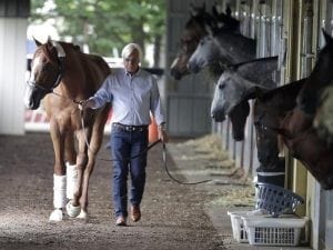 Justify odds-on favourite for Belmont