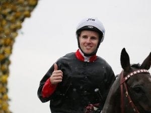Tommy Berry to return to Sydney racing