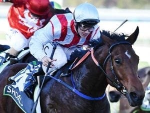 Shoals to run for The Star in $13m Everest