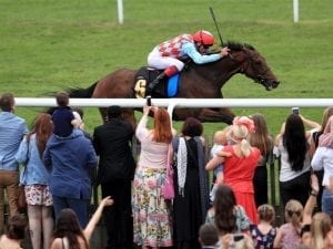 Amazing Red in Newmarket win
