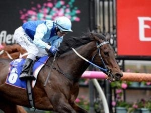 Lovani to be aimed at Kensei Handicap
