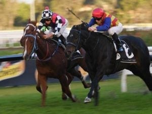 Nictock to continue resurgence at Rosehill
