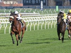 Plymouth Road could run in Winter Cup