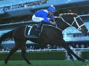Winx odds-on favourite to win Winx Stakes