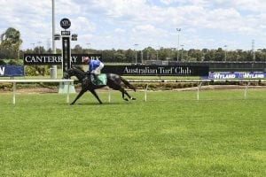 Overdue victory for Harper's Choice in Cup