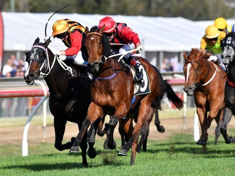 Jeff Lloyd rides Envy of All to win race 5 at Ipswich