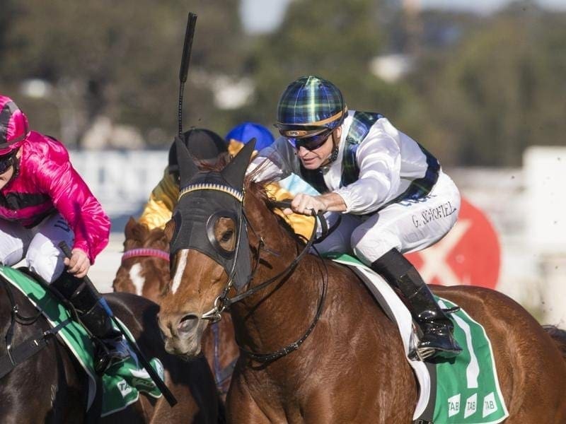 2K Thoroughbreds proves a force at Ipswich Horse Betting