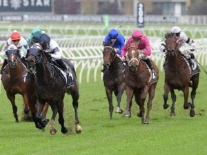 Dio D'Oro posts second wet-track success