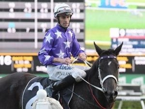 Noire earns crack at Tiara with victory