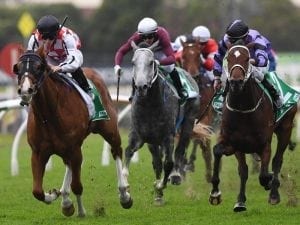 Radiant Choice returns to town to win
