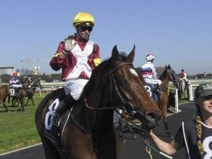 Touch Of Mink on trial for Guineas trip