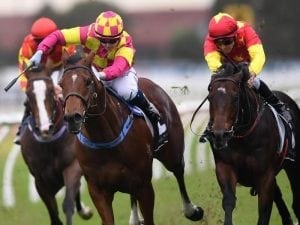 Spring targets on horizon for Ronstar