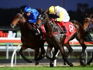 Epidemic shares in feature race limelight