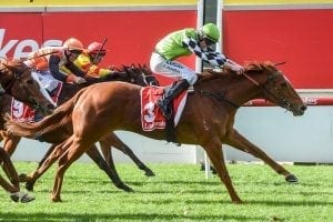 Early-spring target for Tahitian Dancer
