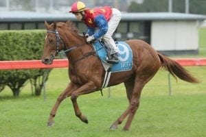 Filly exceeding early expectations