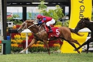 Golden result for Cruz after Lion Rock trifecta