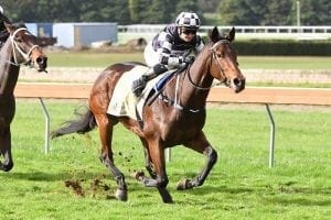 Hot-pot romps to victory at Trentham