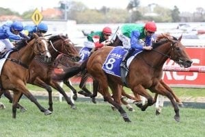 Bonneval thriving ahead of proposed Australian trip