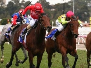 Brave Song scores first-up at Flemington