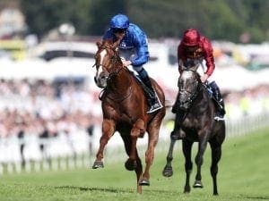 Derby winner Masar out for the season Derby winner Masar out for the season