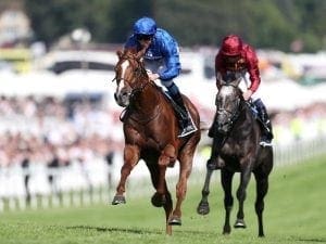 Derby winner Masar out for the season