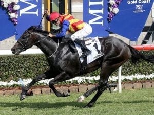 Missile Stakes mission for Pierata