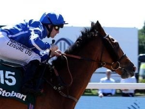 Melbourne Cup likely next run for Withhold