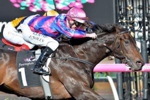 Guineas a spring aim for Good 'n' Fast