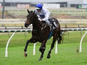 Tony Gollan urges caution on Zoustyle